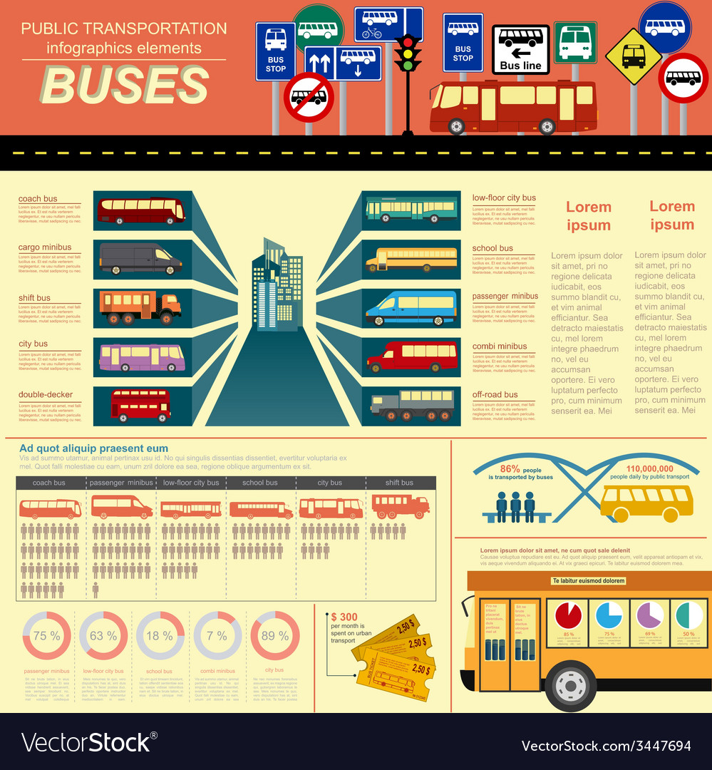 Public transportation ingographics buses Vector Image