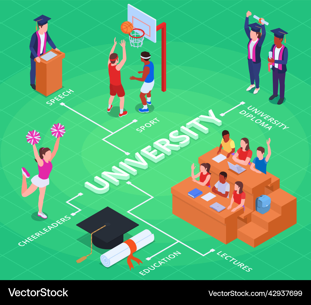 College isometric flowchart Royalty Free Vector Image