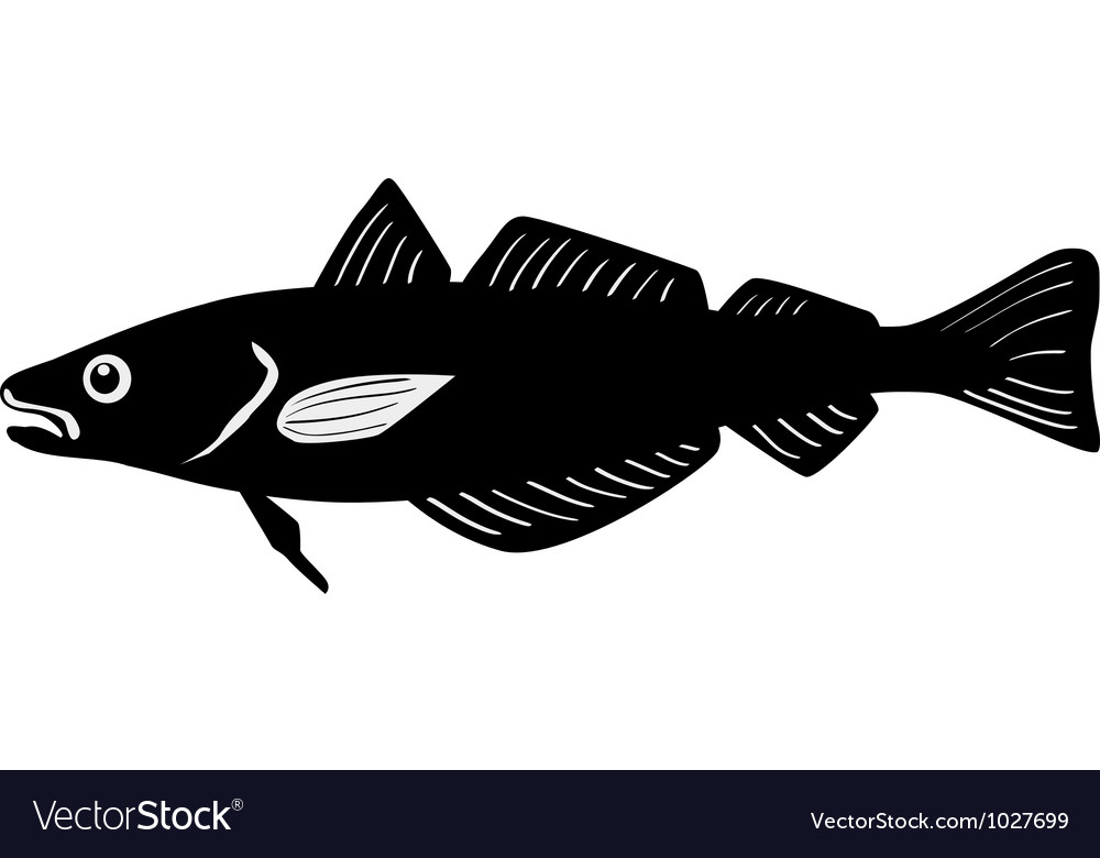 Silhouette of whiting fish