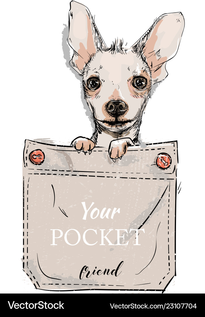 pockets dogs