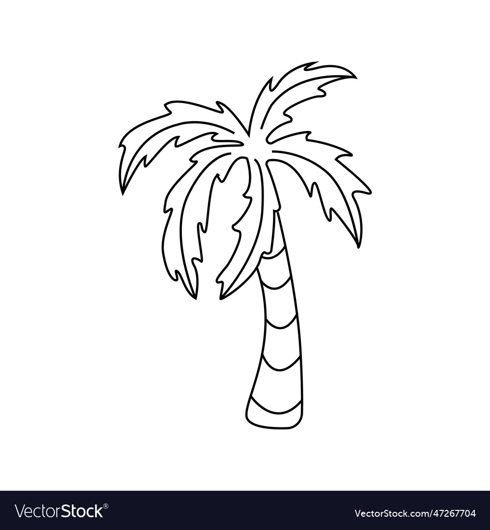 Palm tree in doodle style Royalty Free Vector Image