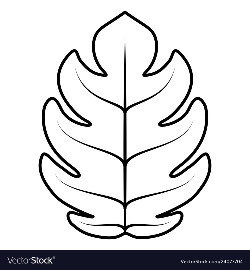 Tropical leaf design Royalty Free Vector Image