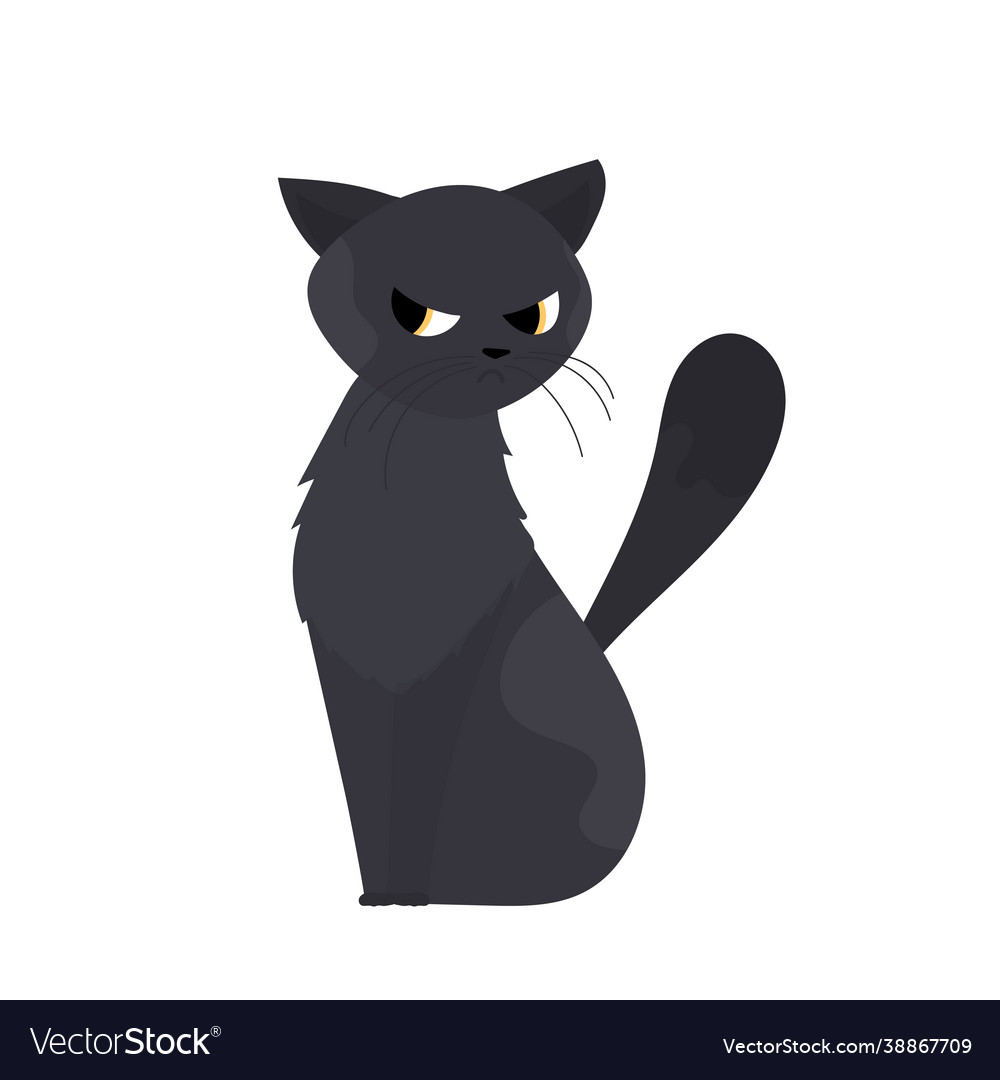 Black cat was offended looks Royalty Free Vector Image