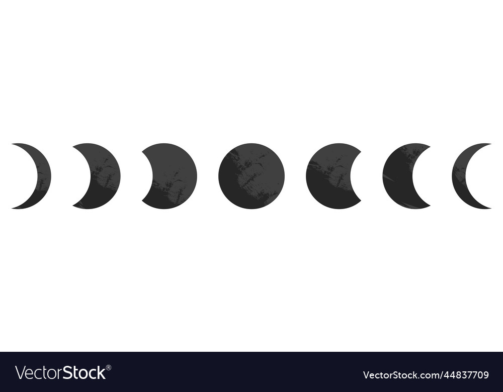 Moon Cycle Vector Art, Icons, and Graphics for Free Download