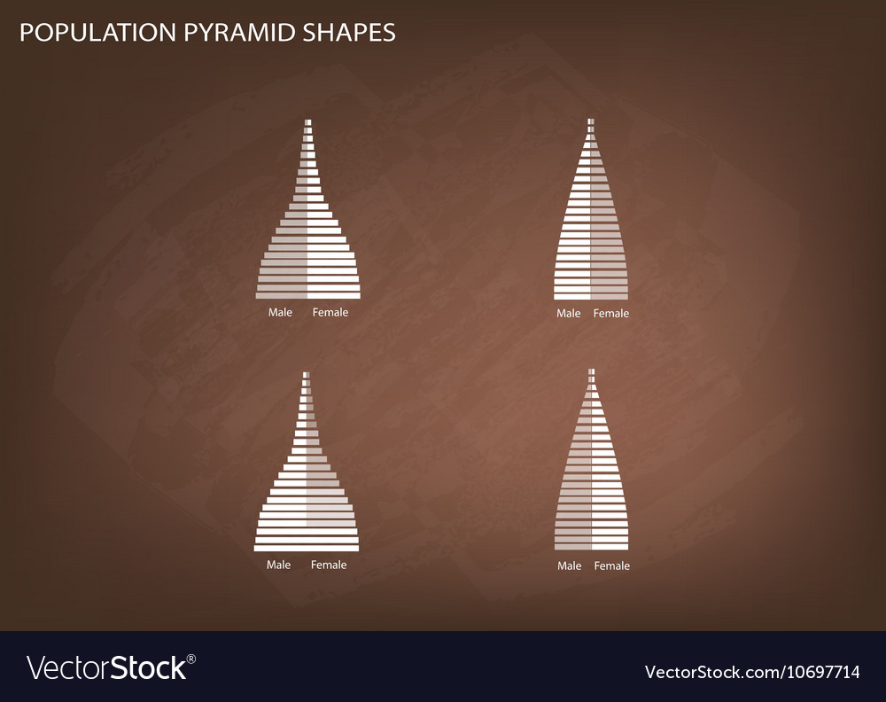 4 types of population pyramids graphs