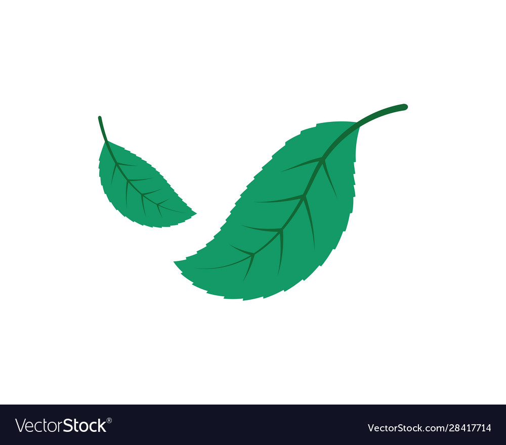 Green leaf ecology nature element icon go