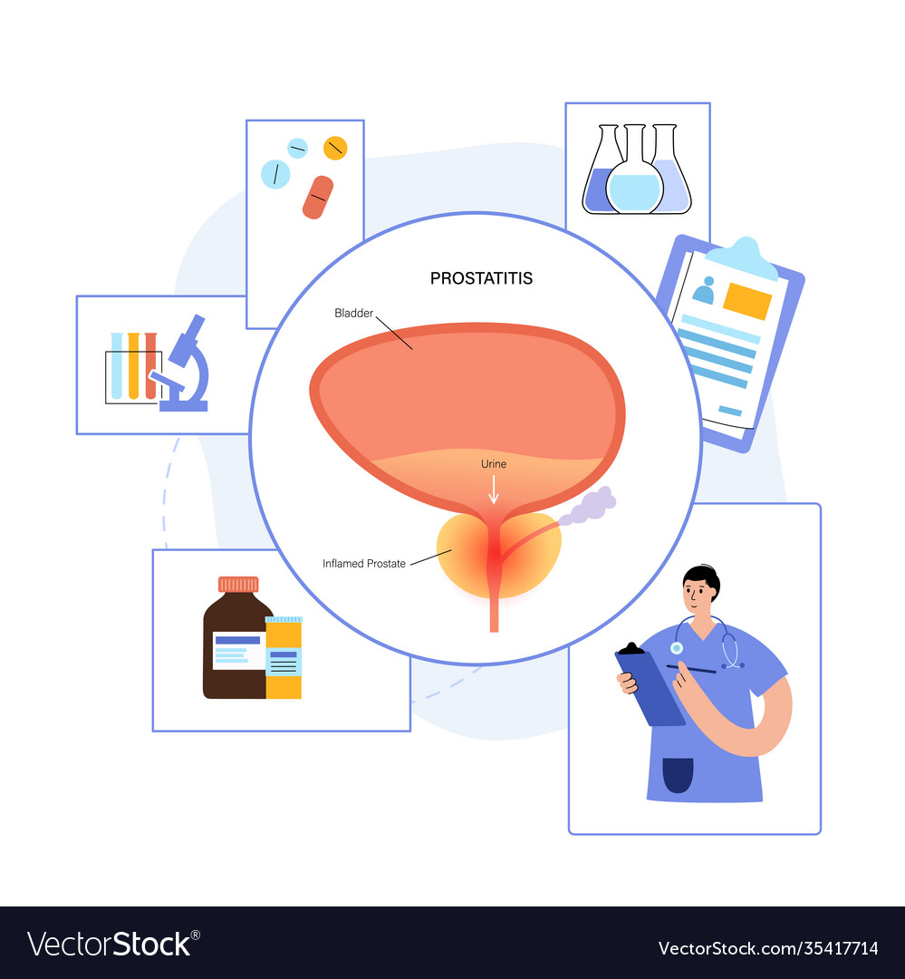 Man reproducive system problems vector image Man reproducive system problems