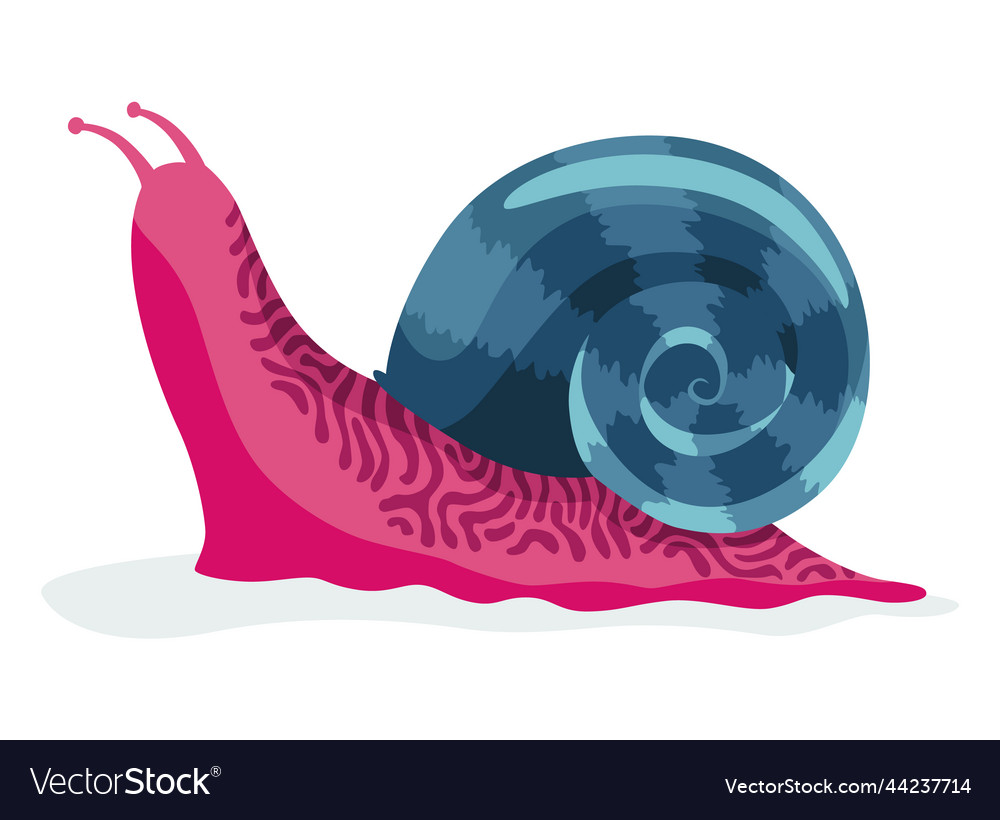 Snail crawling snailfish colour shell colourful vector image Snail crawling snailfish colour shell colourful