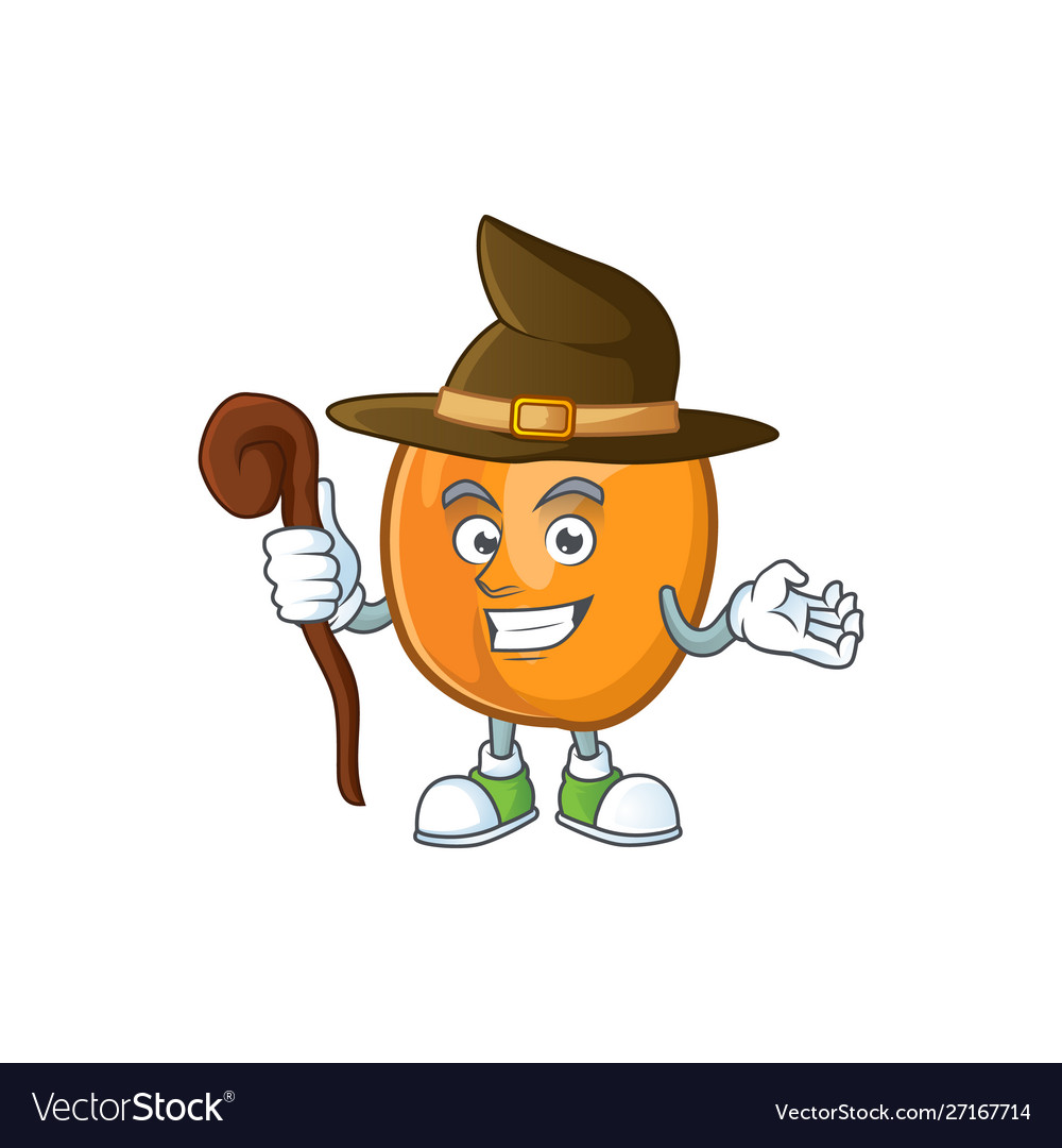 Witch reif apricot charakter mascot cartoon