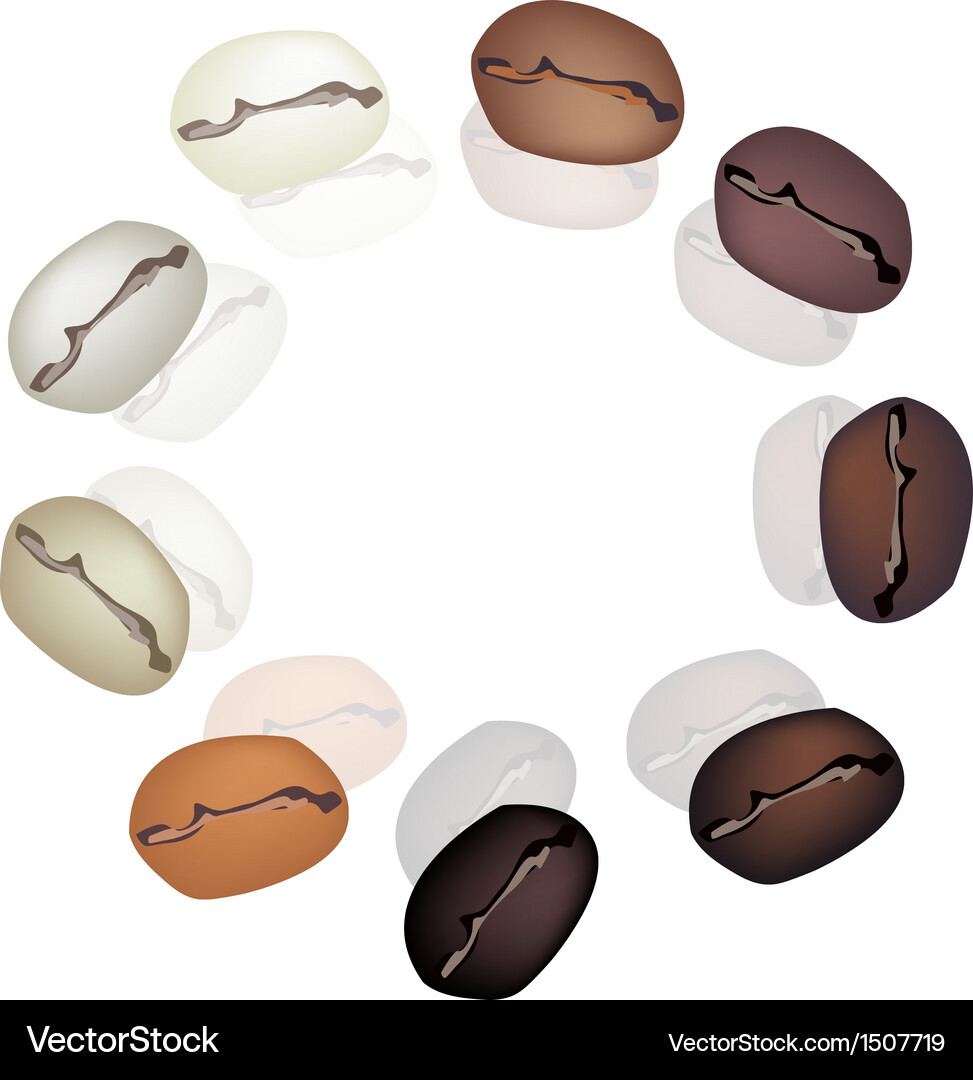 Different coffee beans circle Royalty Free Vector Image