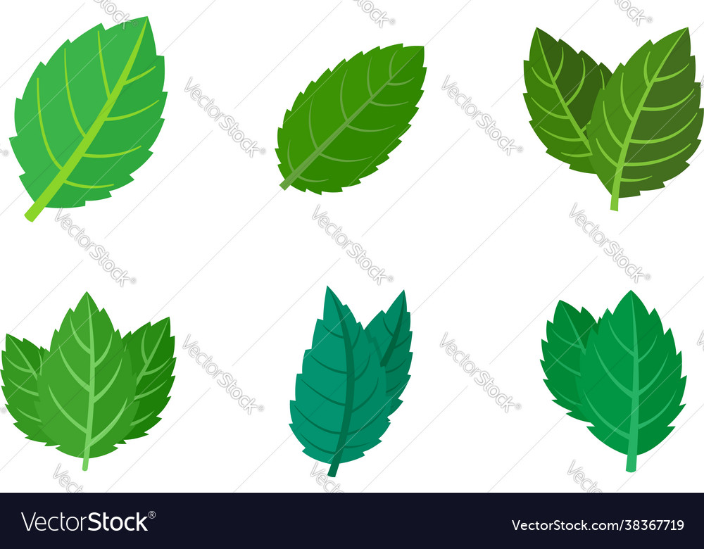 Mint icons set flat isolated Royalty Free Vector Image