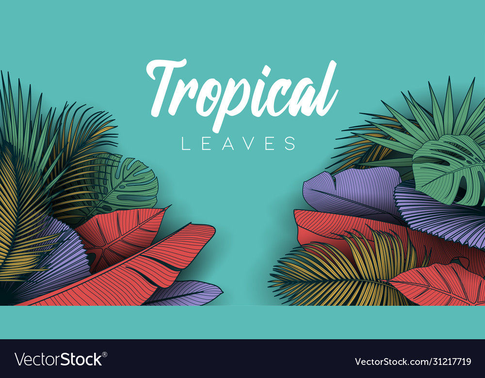 Tropical summer leaves background