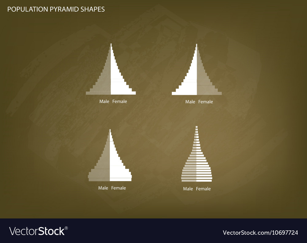 4 types of population pyramids graphs
