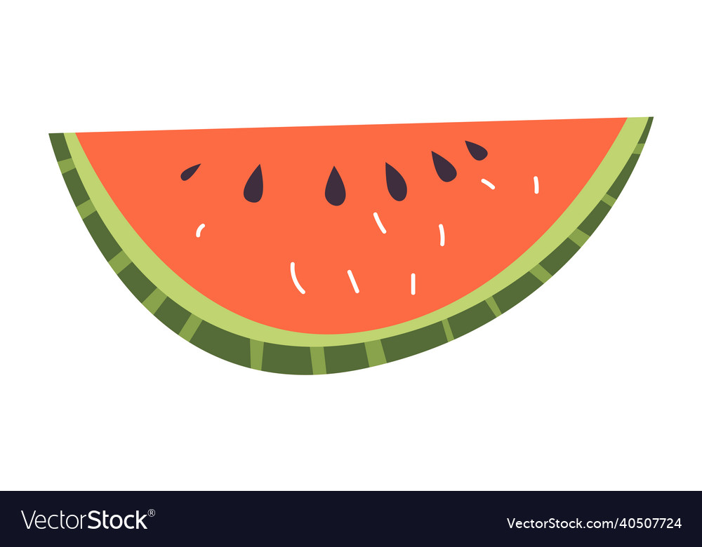 Watermelon slice summer symbol piece of fresh Vector Image