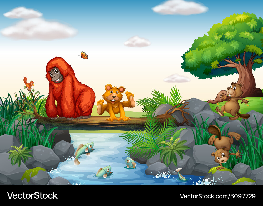 Animals Royalty Free Vector Image - VectorStock