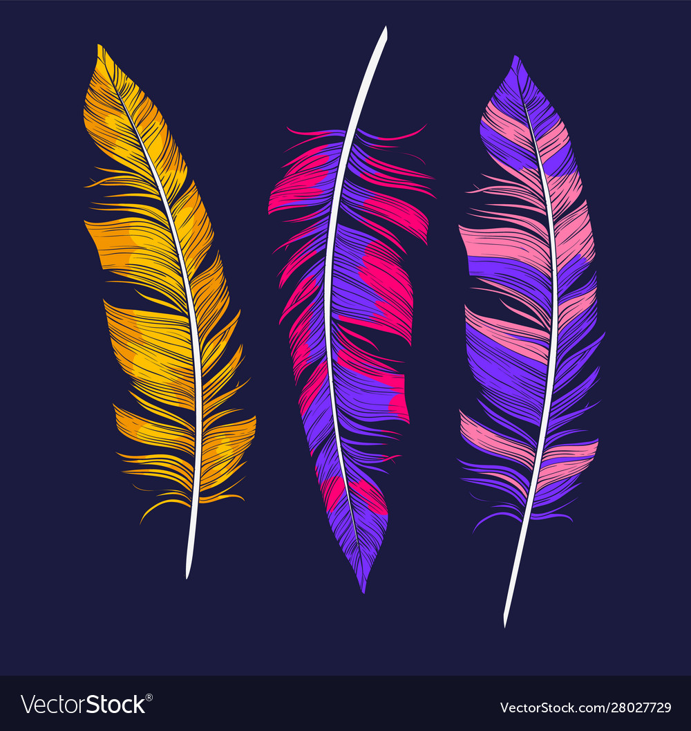 Colorful boho feathers handdrawn vector image Colorful boho feathers handdrawn