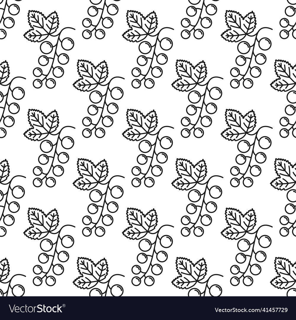 Currant seamless background with contour