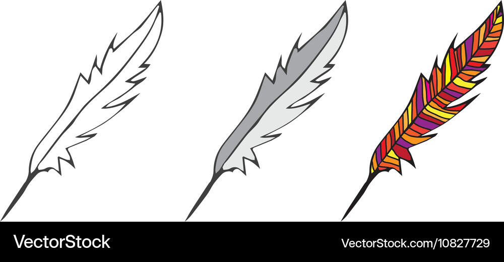 Feather Royalty Free Vector Image - VectorStock