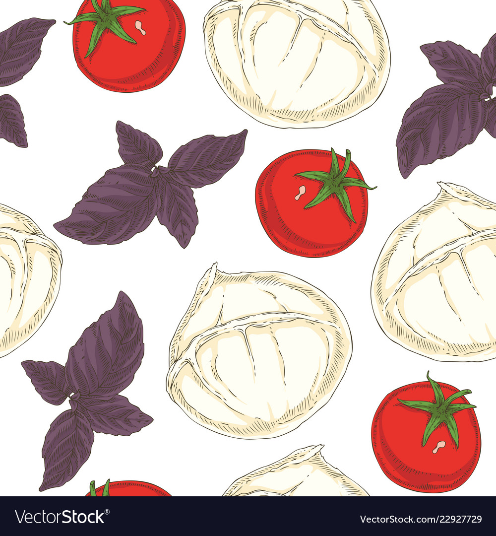 Seamless pattern mozzarella tomatoes and basil vector image Seamless pattern mozzarella tomatoes and basil