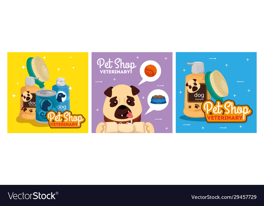 Set poster pet shop veterinary with icons