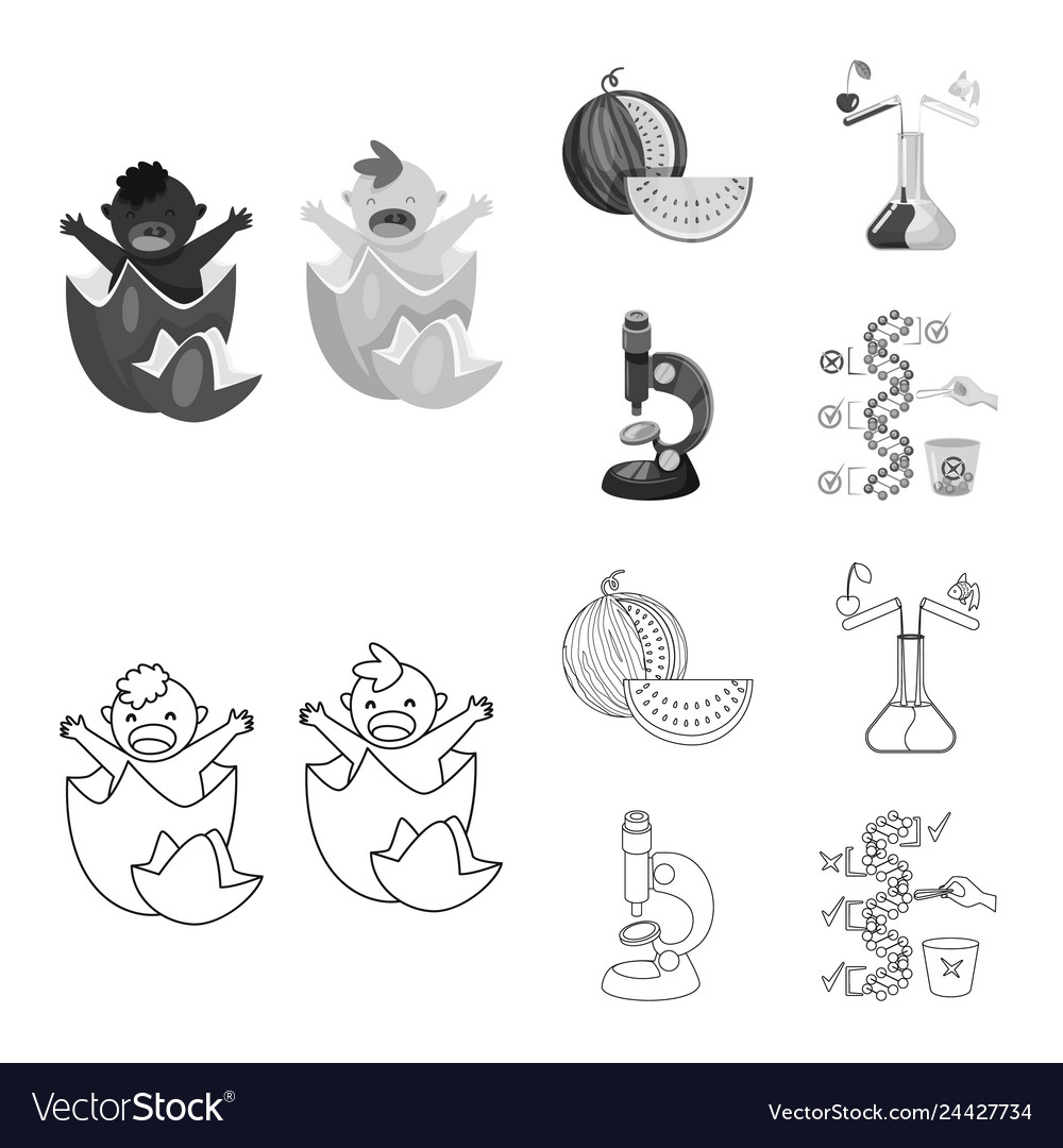 Isolated object of test and synthetic logo vector image Isolated object of test and synthetic logo