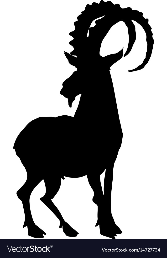 Mountain goat Royalty Free Vector Image - VectorStock