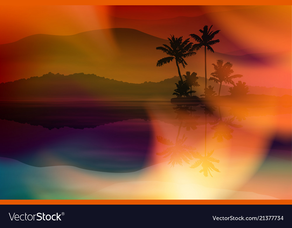 Tropical Sunset Palm Trees
