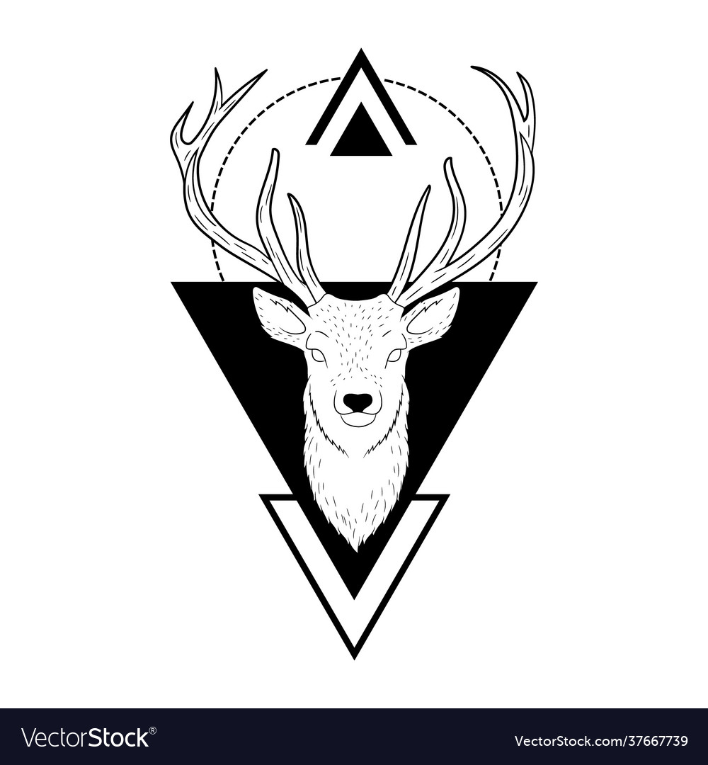 Deer head wild life Royalty Free Vector Image - VectorStock