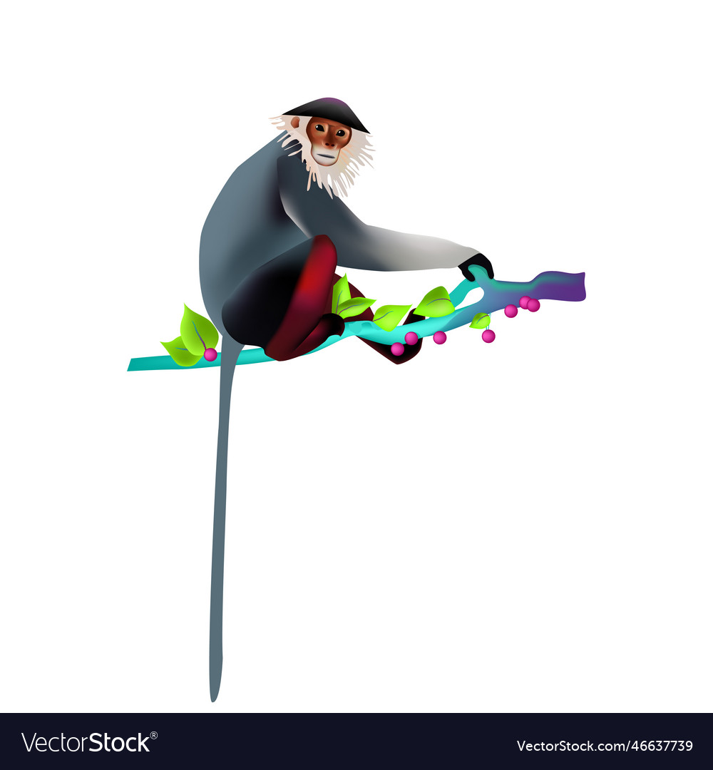 Endangered Red-shanked Douc Langur Monkey Vector Image