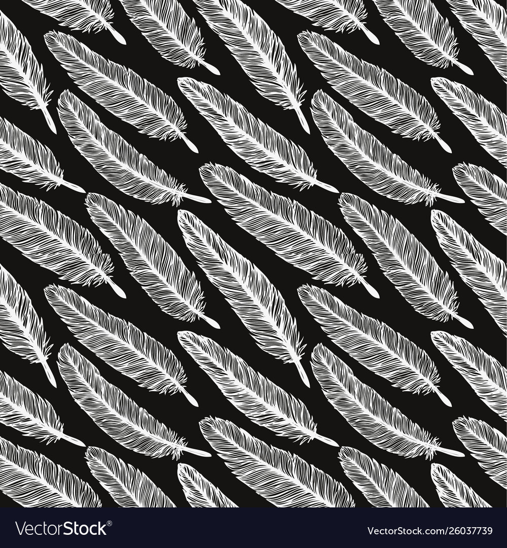 Feather seamless pattern vector image Feather seamless pattern
