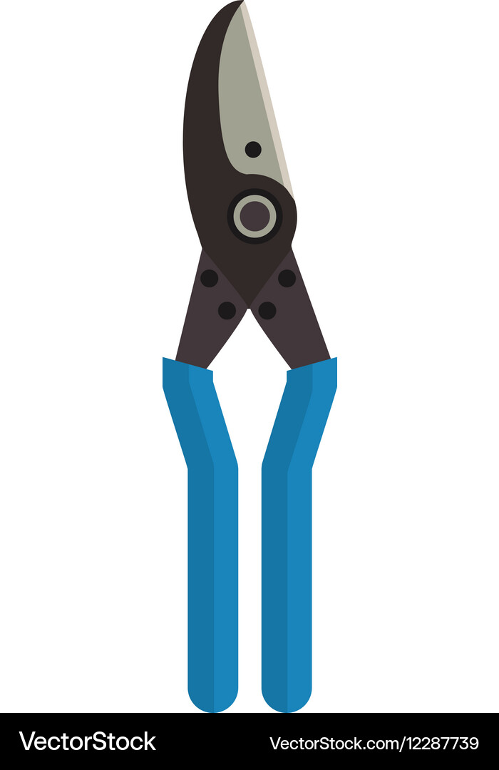 Garden scissor Royalty Free Vector Image - VectorStock