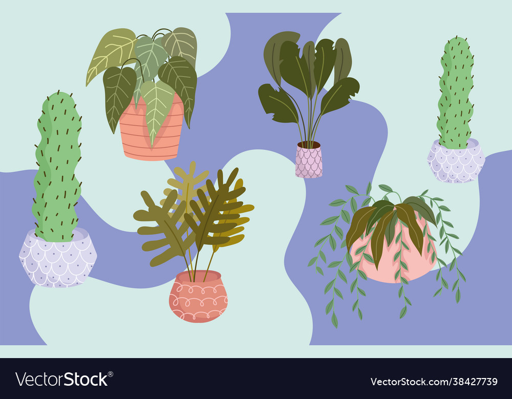 Houseplants decoration set