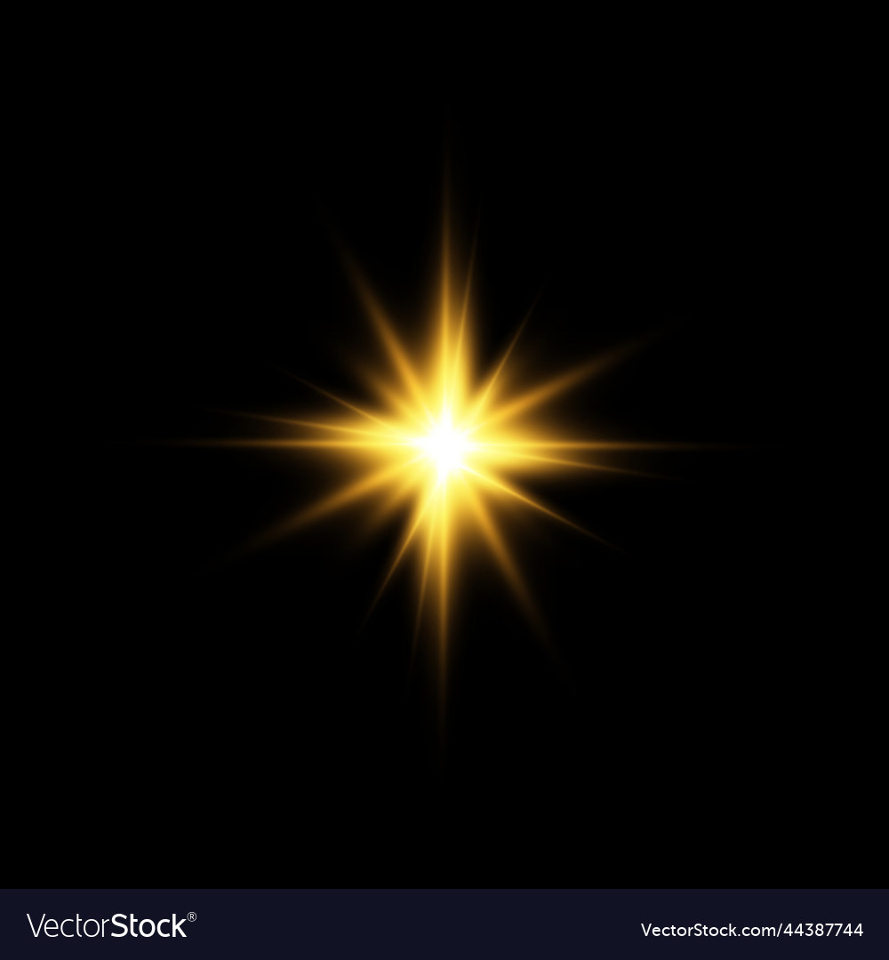 Golden star on a black background the effect Vector Image