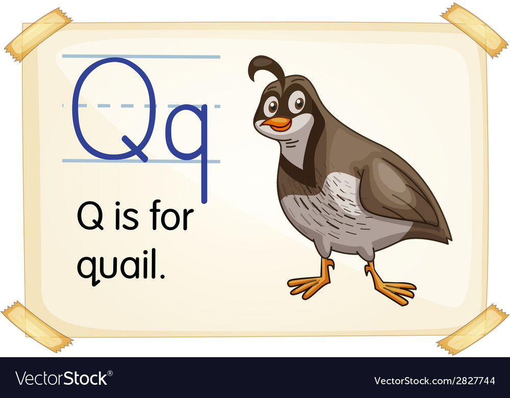 Letter q Royalty Free Vector Image - VectorStock