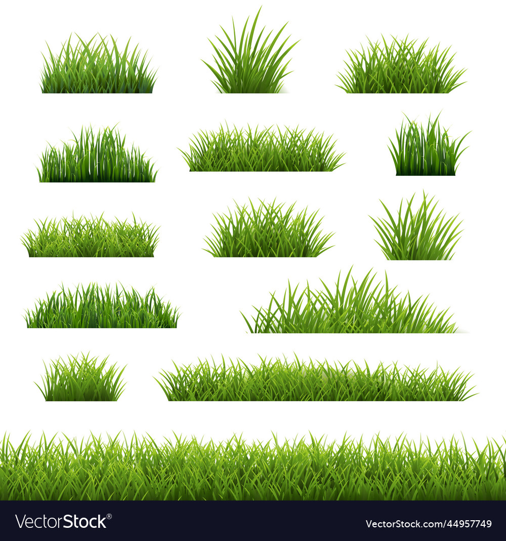 Big set green grass isolated Royalty Free Vector Image