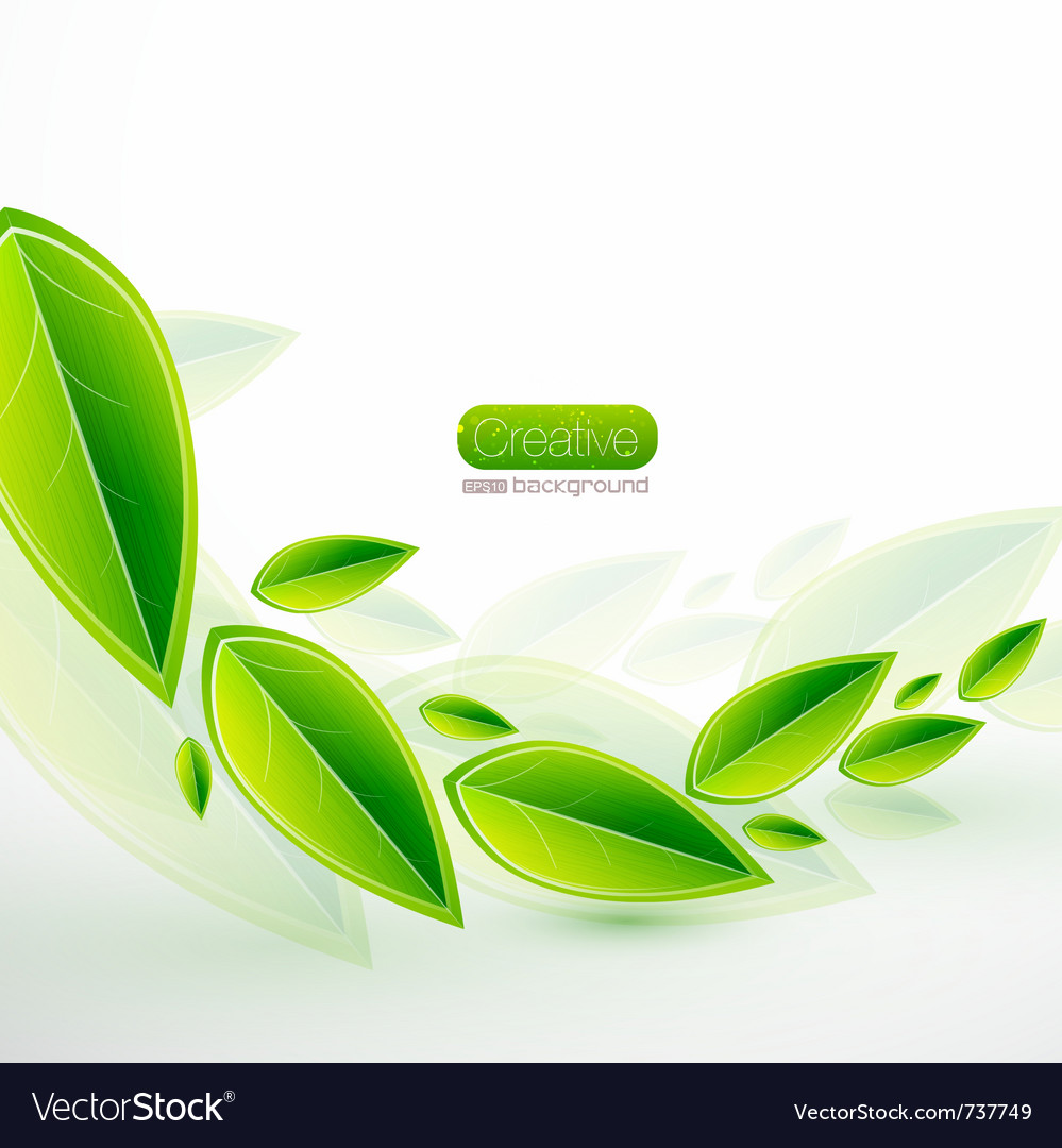 Botanical Leaf Abstract Background