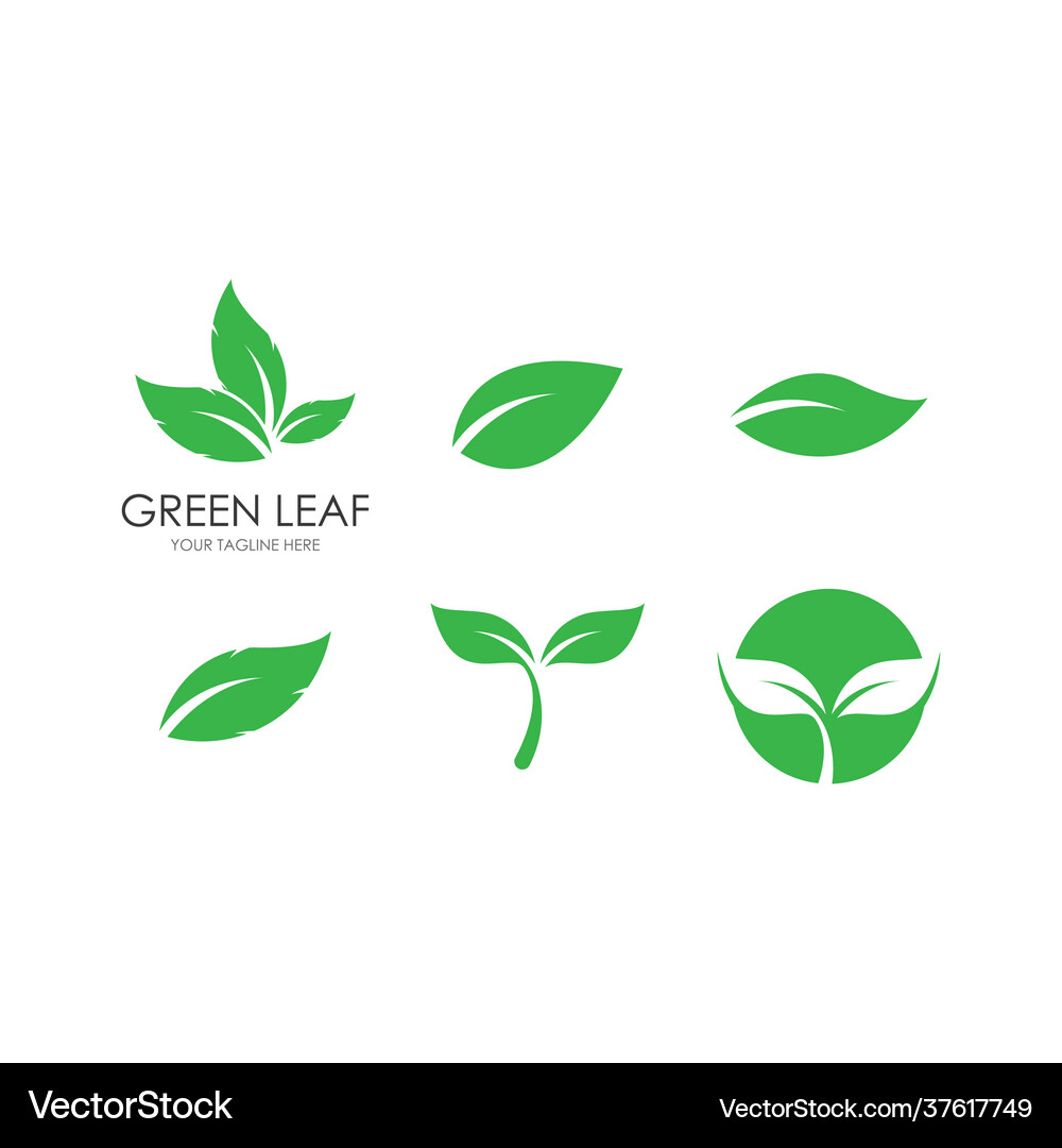 Green leaf Royalty Free Vector Image - VectorStock