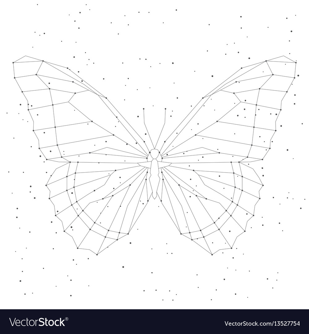 Vector Cosmic Low Poly Line Art With Insect Stock Illustration