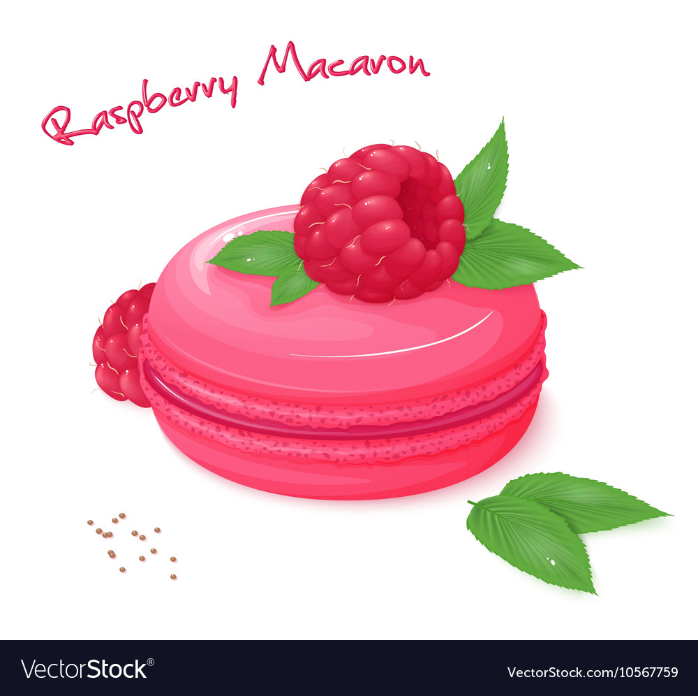 Realistic isolated raspberry macaron with fresh