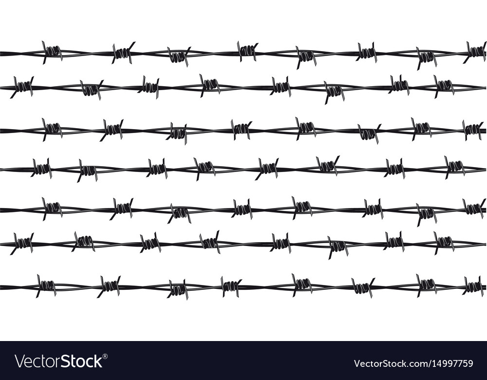 Rows Of Barbed Wire Royalty Free Vector Image VectorStock   Rows Of Barbed Wire Vector 14997759 