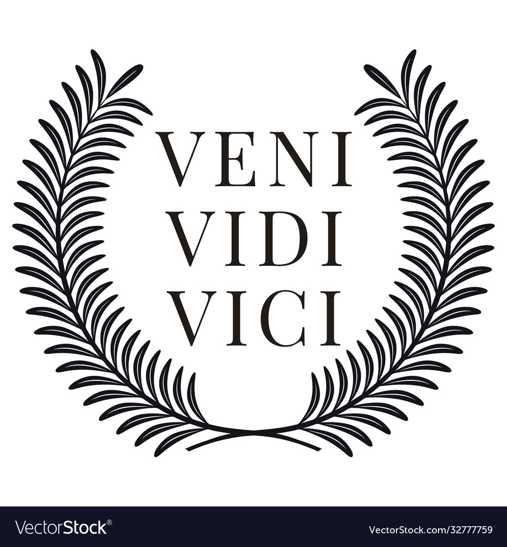 Veni Vidi Vici Latin Phrase Translation: vetor stock (livre de