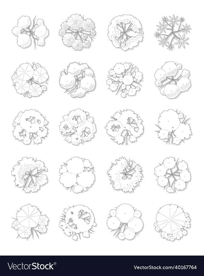 Set of top view tree