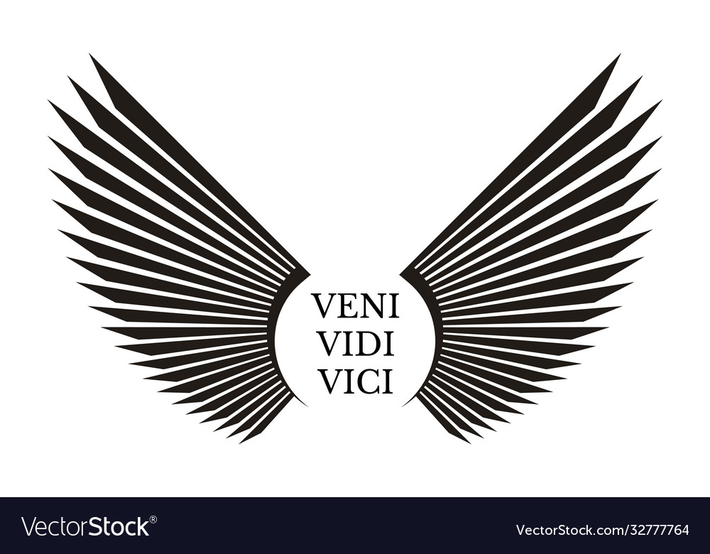 Vidi. Vici. Veni.