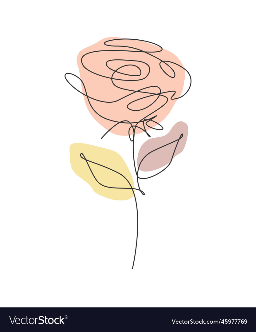 One Single Line Drawing Beauty Fresh Rose Flower Vector Image