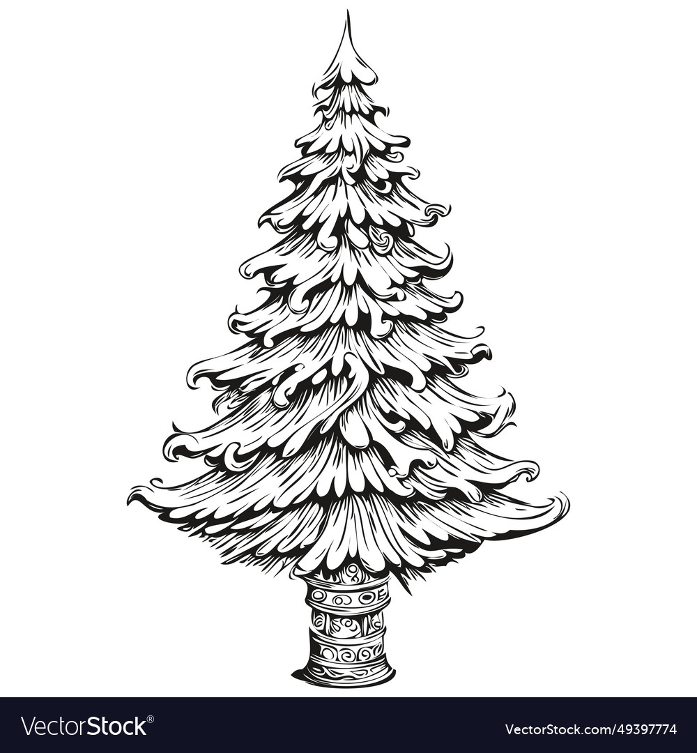 Christmas Tree Hand Drawn Vintage Engraving Vector Image