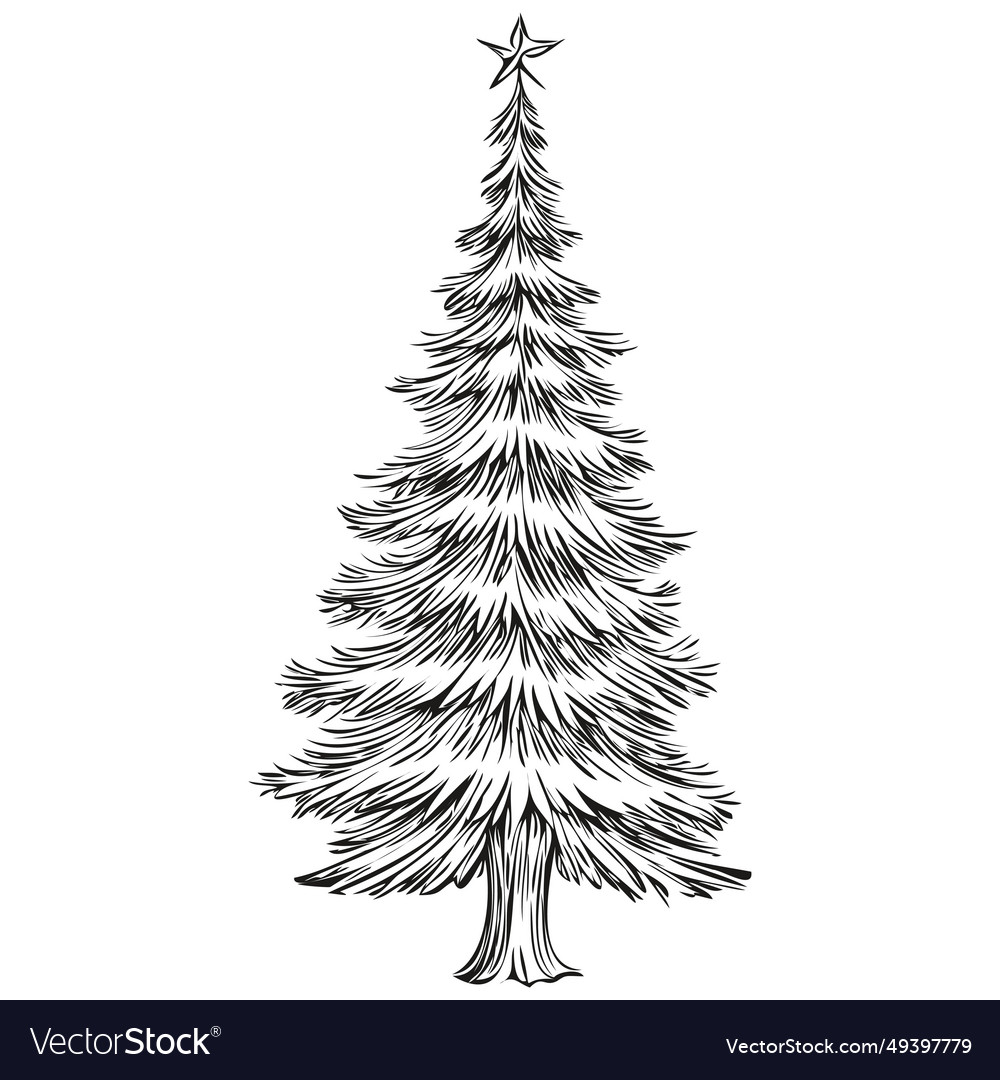 Christmas tree line art hand drawn sketch Vector Image