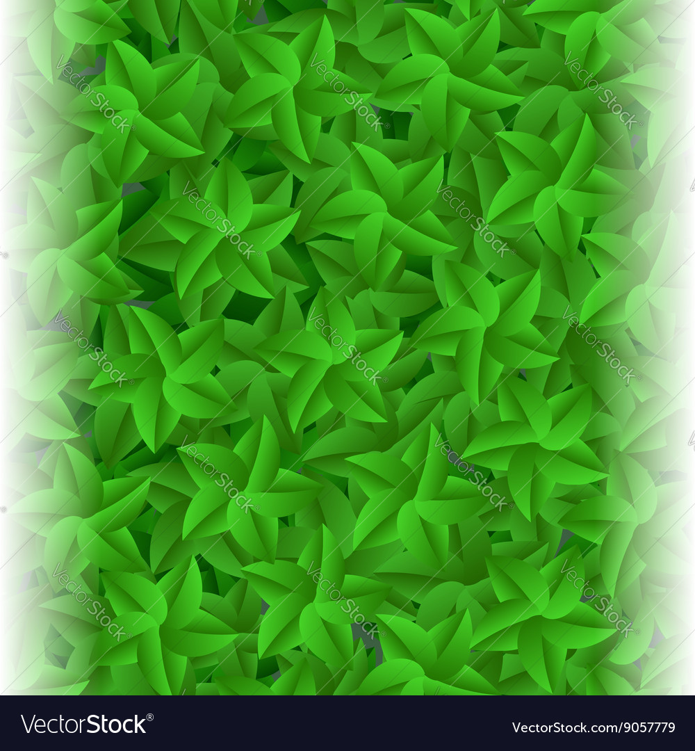 Green leaves pattern summer background