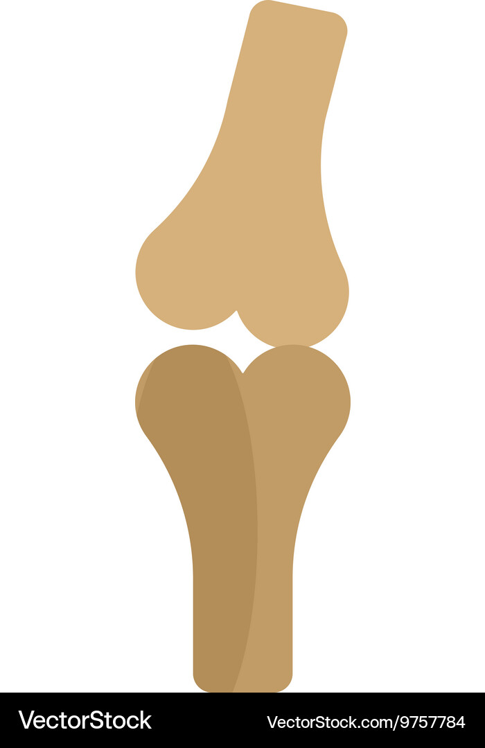 Bones Royalty Free Vector Image - VectorStock