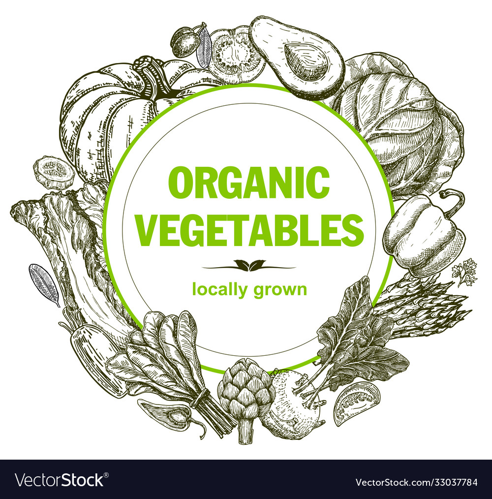 Card design with hand drawn vegetables