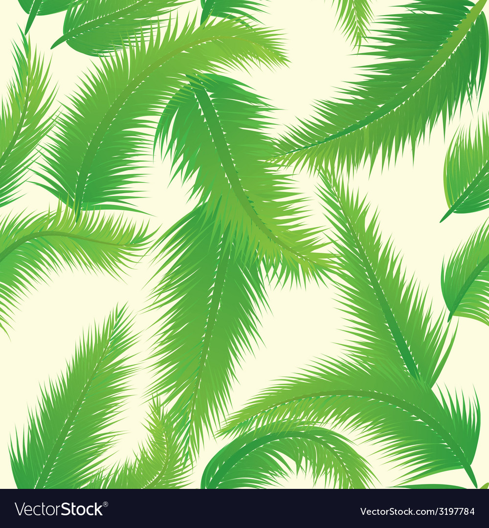 Palm leaf pattern Royalty Free Vector Image - VectorStock